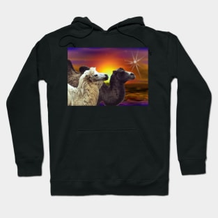 Bactrian Camels in the desert art gift. Hoodie